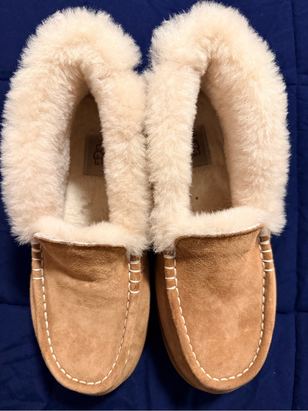 UGG Ansley Parc boots